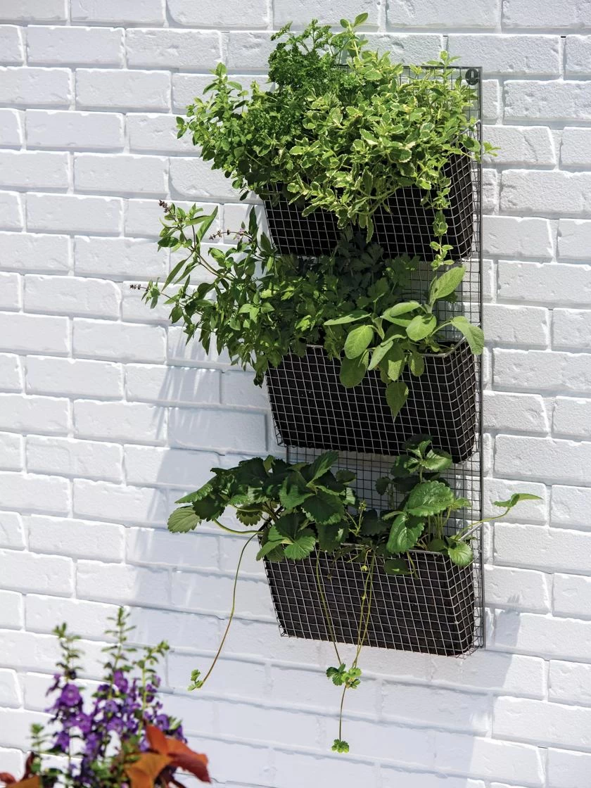 Wire Wall Pockets Vertical Gardens 2 Wire Wall Pockets Vertical Gardens - Image 2