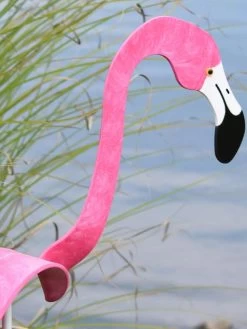 Florida Dancing Birds®, Flamingos -Garden Care Shop 8609442HP 02V jpg