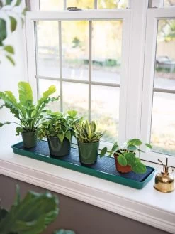 Self-Watering Windowsill Tray -Garden Care Shop 8609873 9011 tif