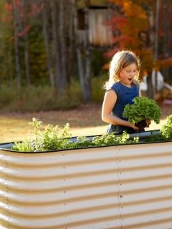 Birdies™ Modular Metal Raised Bed, Tall -Garden Care Shop 8610174 5015 tif