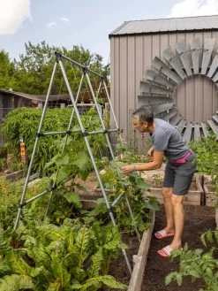 Connector Kit For DIY A Frame Plant Support -Garden Care Shop 8610366 7584 tif