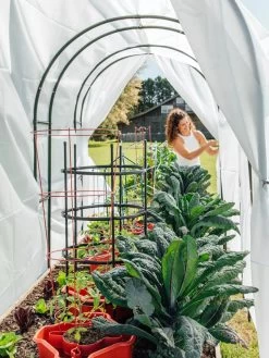 Maxi Garden Hoops With Clips -Garden Care Shop 8610373 377 tif