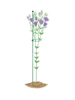 Peacock Mini Plant Support Rings 4", Set Of 2 -Garden Care Shop 8610386 peacock4x36