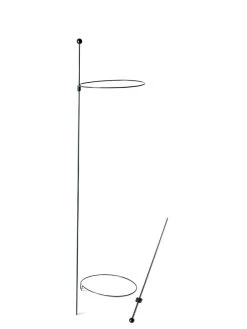 Peacock Mini Plant Support Rings 8", Set Of 2 13 Peacock Mini Plant Support Rings 8", Set Of 2 -Garden Care Shop 8610388 9565 tif