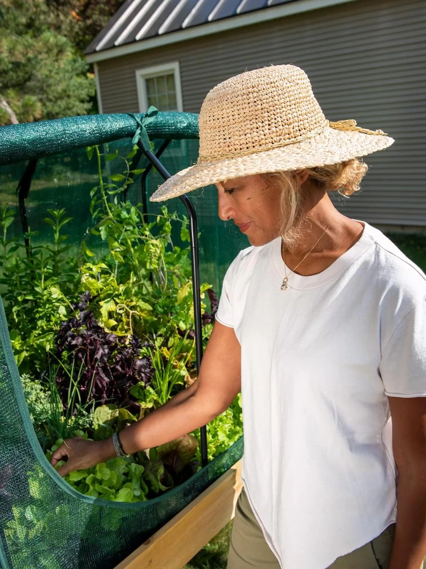 Compact VegTrug® Shade Cover 2 Compact VegTrug® Shade Cover - Image 2
