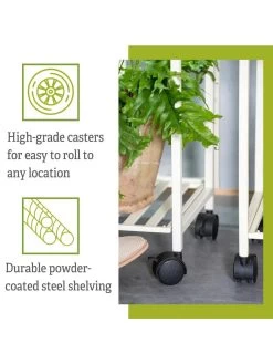 Oslo 4-Tier LED Grow Light Garden 14 Oslo 4-Tier LED Grow Light Garden -Garden Care Shop 8610473 6