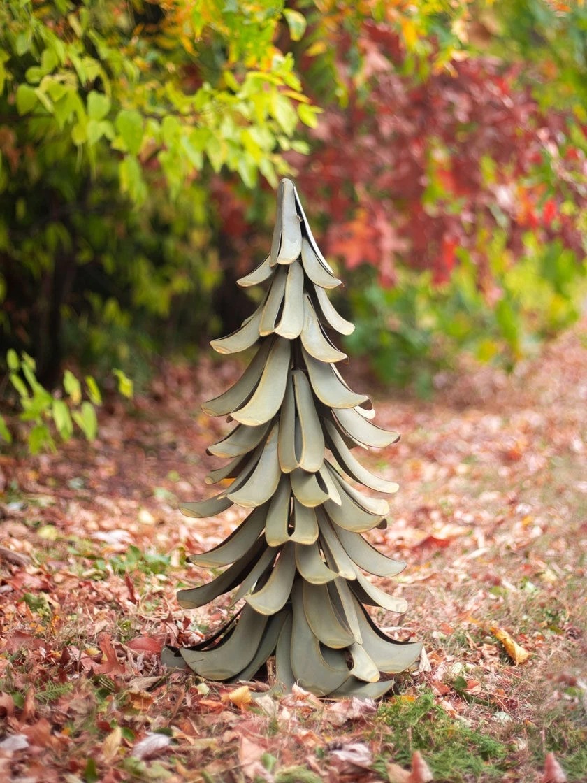 Desert Steel Blue Atlas Cedar 7 Desert Steel Blue Atlas Cedar - Image 7