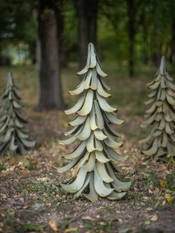 Desert Steel Blue Atlas Cedar 12 Desert Steel Blue Atlas Cedar -Garden Care Shop 8610550 03v