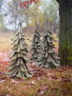 Desert Steel Blue Atlas Cedar 13 Desert Steel Blue Atlas Cedar -Garden Care Shop 8610550 07v