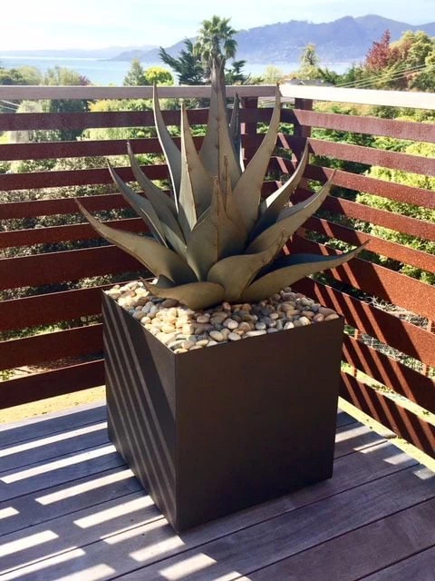 Desert Steel Sharkskin Agave Sculpture 2 Desert Steel Sharkskin Agave Sculpture - Image 2