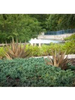 Desert Steel Sharkskin Agave Sculpture 9 Desert Steel Sharkskin Agave Sculpture -Garden Care Shop 8610753 05v