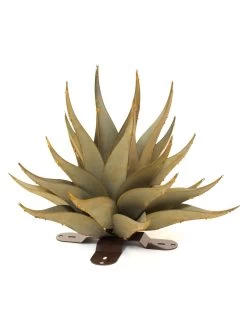 Desert Steel Sharkskin Agave Sculpture 10 Desert Steel Sharkskin Agave Sculpture -Garden Care Shop 8610754 01v desert steel sharkskin agave small