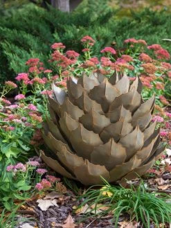Desert Steel Artichoke Agave Sculpture 9 Desert Steel Artichoke Agave Sculpture -Garden Care Shop 8610761 03v