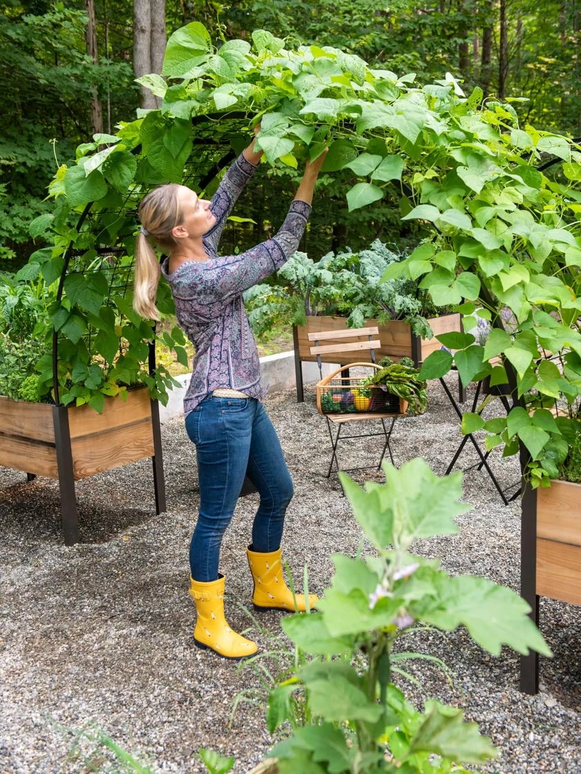 2’ X 8’ Arch Trellis For Planter Boxes 5 2’ X 8’ Arch Trellis For Planter Boxes - Image 5