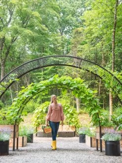 2’ X 8’ Arch Trellis For Planter Boxes 12 2’ X 8’ Arch Trellis For Planter Boxes -Garden Care Shop 8610798 071 tif