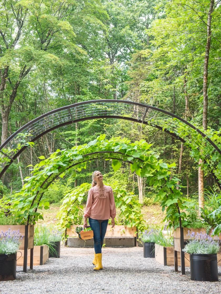 2’ X 8’ Arch Trellis For Planter Boxes 4 2’ X 8’ Arch Trellis For Planter Boxes - Image 4