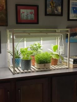 Oslo 1-Tier LED Grow Light Garden 12 Oslo 1-Tier LED Grow Light Garden -Garden Care Shop 8611002 01IN tif