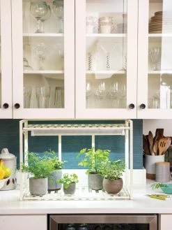 Best Seller 7 Oslo 1-Tier LED Grow Light Garden