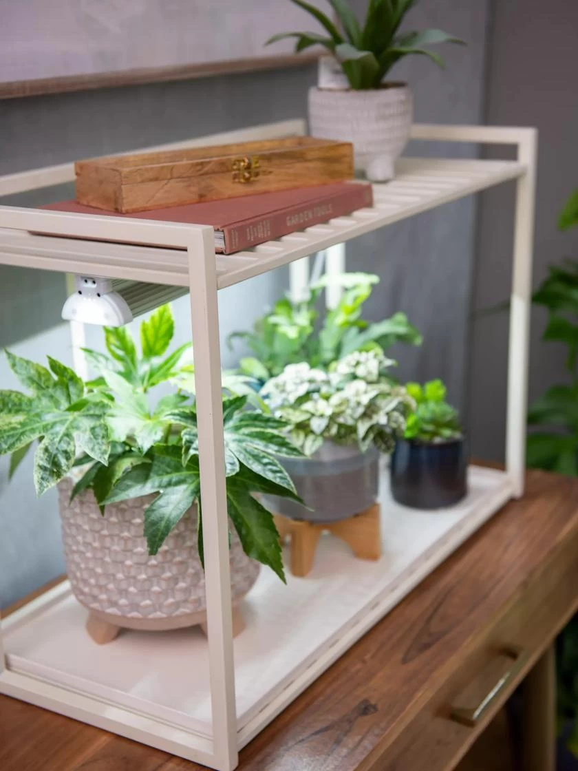 Oslo 1-Tier LED Grow Light Garden 3 Oslo 1-Tier LED Grow Light Garden - Image 3