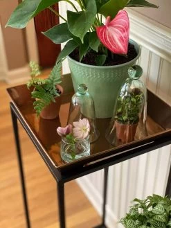 Best Seller -Garden Care Shop 8611014 3655 tif