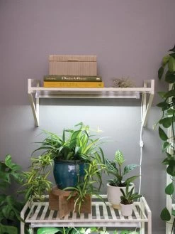 Best Seller -Garden Care Shop 8611516 8400 tif