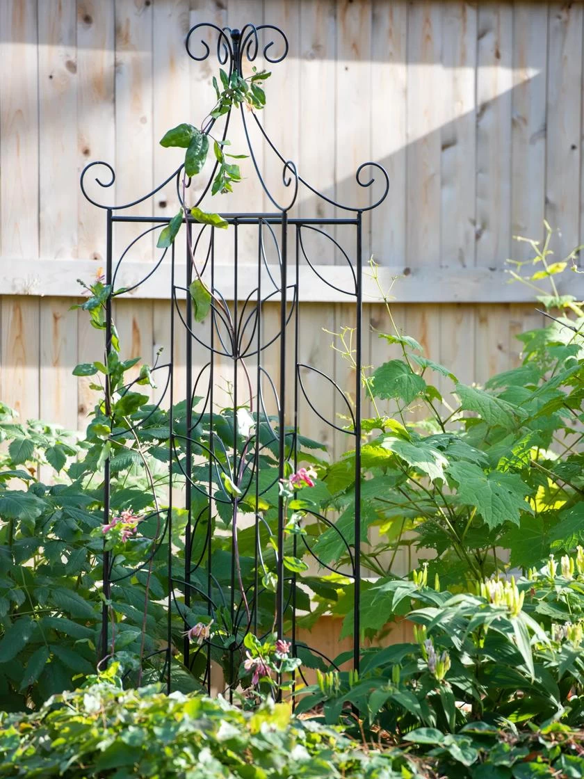 4 Sided Leaf Obelisk, 72" 1 4 Sided Leaf Obelisk, 72"