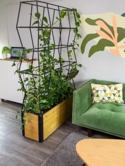 Self-Watering Partition Planter -Garden Care Shop 8611952 001 tif