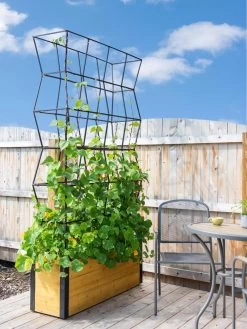 Self-Watering Partition Planter -Garden Care Shop 8611952 4825 tif