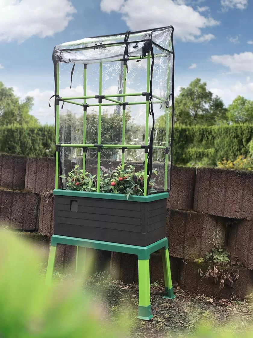 Greenhouse Cover For City Jungle® Tomato Trellis 2 Greenhouse Cover For City Jungle® Tomato Trellis - Image 2