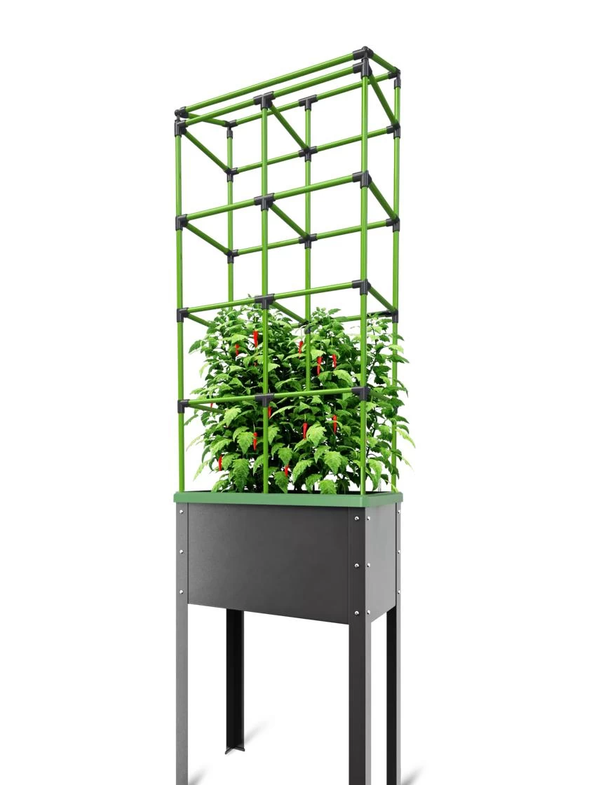 City Jungle® Tomato Trellis Extension Kit 2 City Jungle® Tomato Trellis Extension Kit - Image 2