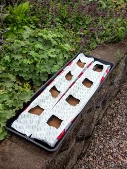 Berry Blend Coir Grow Bag, Set Of 2 6 Berry Blend Coir Grow Bag, Set Of 2 -Garden Care Shop 8611968 361 tif