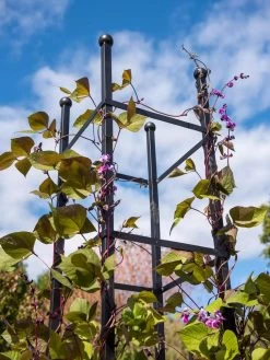 Essex Square Obelisk -Garden Care Shop 8611984 354 tif