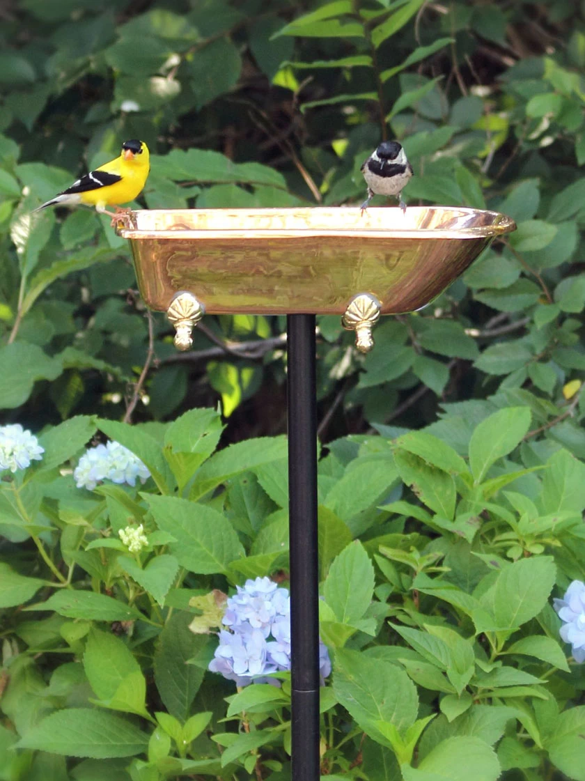 Copper Bathtub Birdbath 1 Copper Bathtub Birdbath