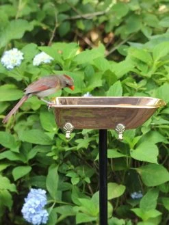 Copper Bathtub Birdbath 10 Copper Bathtub Birdbath -Garden Care Shop 8612202 03v