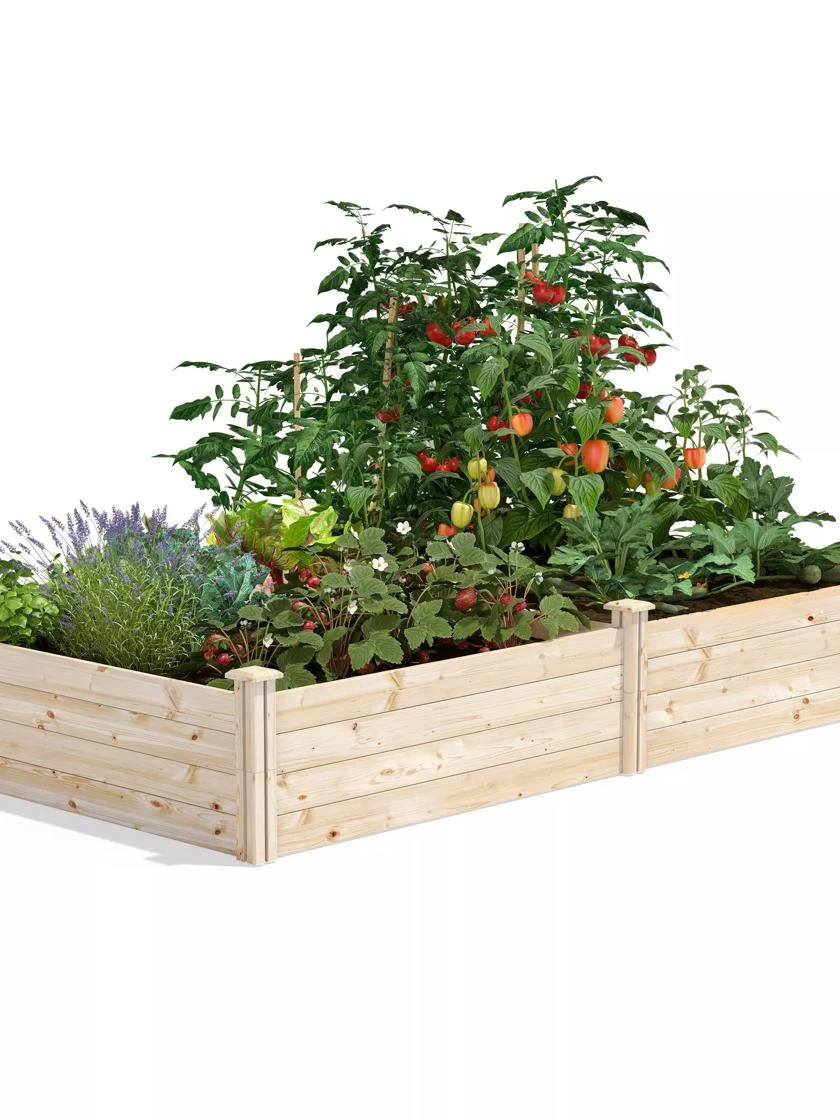 Pine Raised Garden Beds, 4'x8' 1 Pine Raised Garden Beds, 4'x8'