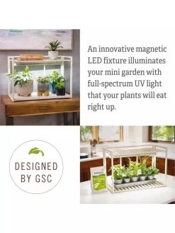 Tabletop Grow Kit 11 Tabletop Grow Kit -Garden Care Shop 8612507 4