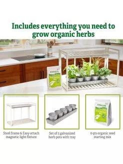 Tabletop Grow Kit 13 Tabletop Grow Kit -Garden Care Shop 8612507 6