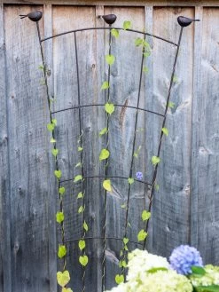 Best Seller -Garden Care Shop 8612636 0023