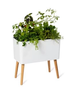 Ava Self-Watering Rectangular Planter -Garden Care Shop 8612691 0014