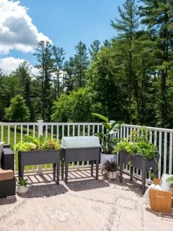 Self-Watering Standing Salad Planter With Cloche -Garden Care Shop 8612702 2002 tif