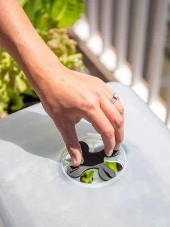 Self-Watering Standing Salad Planter With Cloche -Garden Care Shop 8612702 2034 tif