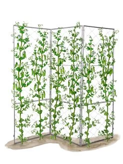 Chicken Wire Pea Trellis -Garden Care Shop 8612718 peatrellis art chicken wire pea trellis