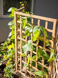 Bamboo Zig-Zag Trellis 24" X 36" -Garden Care Shop 8613151 6467