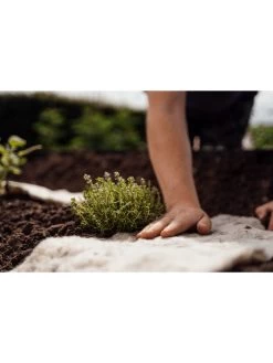 Hortiwool ®, Starter Garden Pad -Garden Care Shop 8613263 09v