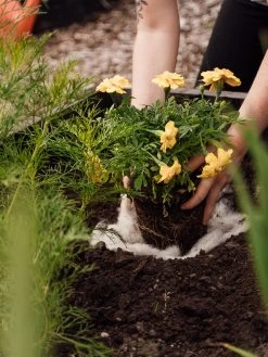 Hortiwool ®, Starter Garden Pad -Garden Care Shop 8613263 12v