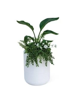 Arden Round Planter -Garden Care Shop 8613267 0115