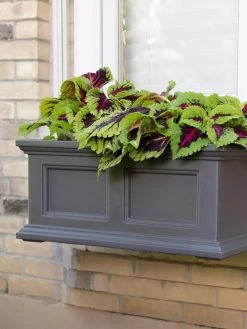 Fairfield Self-Watering Window Box, 2’ 11 Fairfield Self-Watering Window Box, 2’ -Garden Care Shop 8613268 08V tif