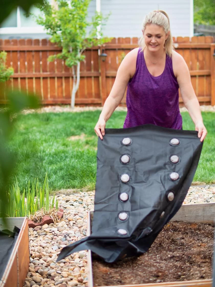 SeedSheets Organic Vegetable Garden, Spicy Sinola Salsa, 4' X 8' 4 SeedSheets Organic Vegetable Garden, Spicy Sinola Salsa, 4' X 8' - Image 4