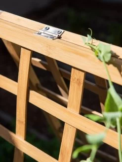 Bambo A Frame Plant Support, 30" X 42.5" 13 Bambo A Frame Plant Support, 30" X 42.5" -Garden Care Shop 8613310 6525