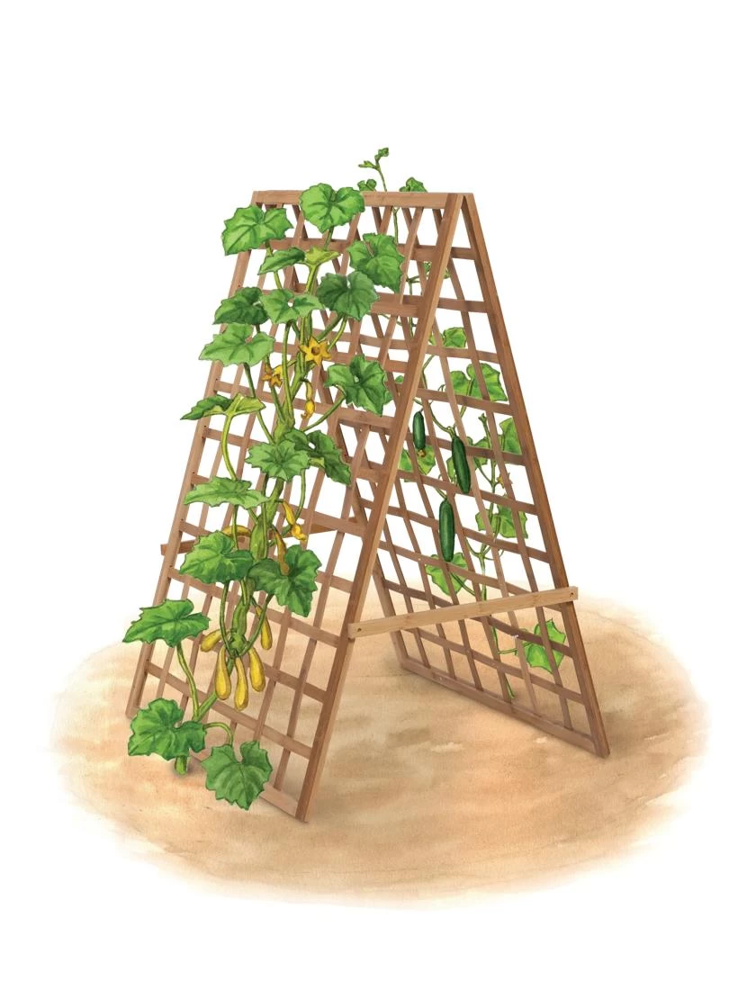 Bambo A Frame Plant Support, 30" X 42.5" 6 Bambo A Frame Plant Support, 30" X 42.5" - Image 6